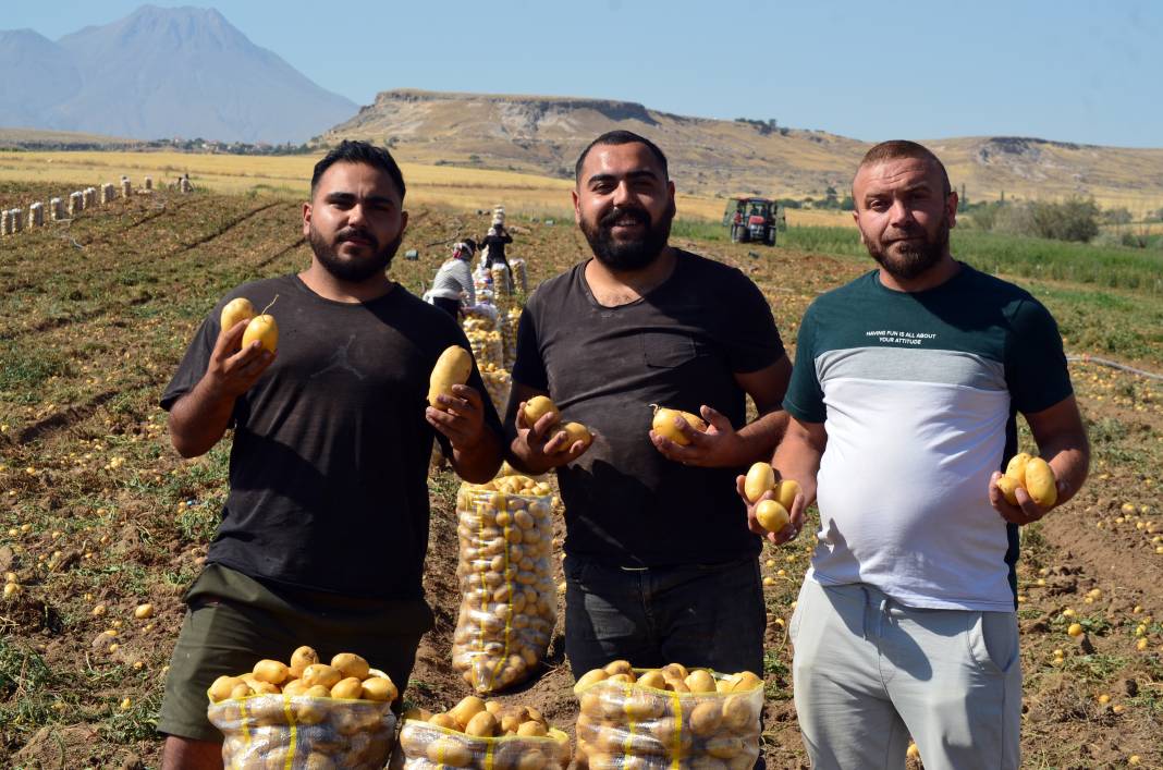 Fiyatlarda büyük kırılma! Yarı yarıya düştü 7